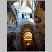 Tui, photo Zarateman, Wikipedia,5.jpg